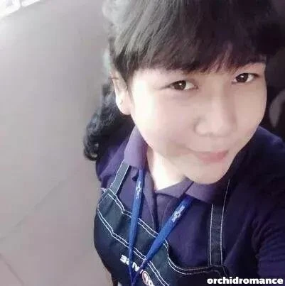 Camello Profile image 2